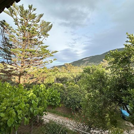 Villa Theodora Keri Екстериор снимка